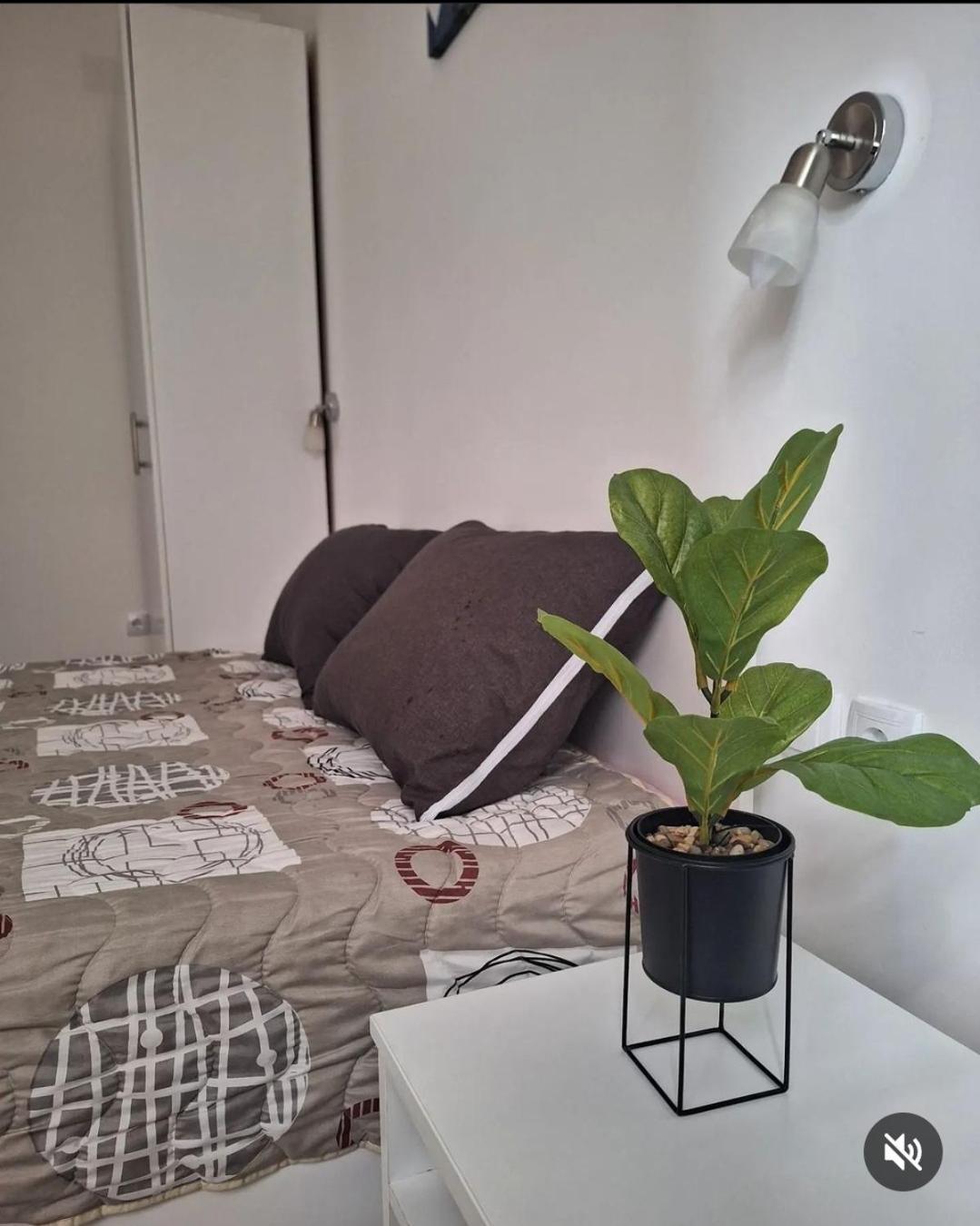 Apartmani Koki Kladovo Esterno foto