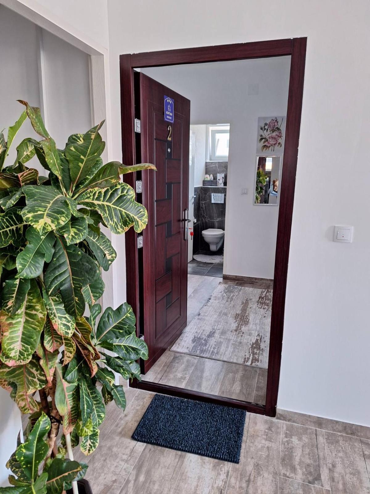 Apartmani Koki Kladovo Esterno foto