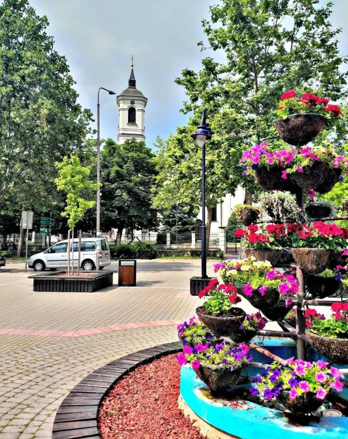Apartmani Koki Kladovo Esterno foto